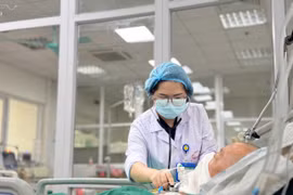 Các bác sỹ chăm sóc và điều trị cho bệnh nhân. (Ảnh: PV/Vietnam+)