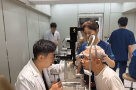 (Ảnh: PV/Vietnam+)