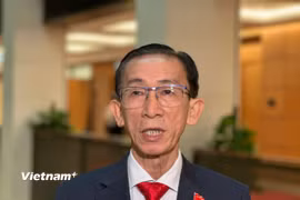 Đại biểu quốc hội Trần Hoàng Ngân. (Ảnh: Thùy Giang/Vietnam+)