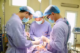 Các bác sỹ thực hiện ca phẫu thuật cho bệnh nhân. (Ảnh: PV/Vietnam+)