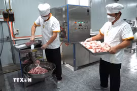 Chế biến các sản phẩm từ vật nuôi. (Ảnh: TTXVN) 