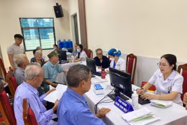 (Ảnh: PV/Vietnam+)