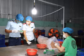 Đoàn kiểm tra liên ngành tỉnh Bình Phước kiểm tra các tổ chức, cá nhân, cơ sở sản xuất, kinh doanh về an ninh, an toàn thực phẩm. (Ảnh: Nhật Bình/TTXVN)