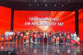 (Ảnh: PV/Vietnam+)