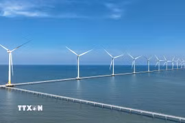 Hệ thống trụ tuốc-bin phát điện ngoài khơi của Nhà máy điện gió Hoà Bình 1 + 2, xã Vĩnh Hậu, tỉnh Cà Mau. (Ảnh: Vũ Sinh/TTXVN)