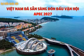 Đại biểu Quốc hội: Việt Nam đã sẵn sàng đón đầu vận hội APEC 2027