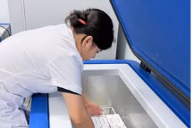 Nhân viên y tế sắp xếp vaccine phòng bệnh dại cho người do WHO hỗ trợ. (Ảnh: PV/Vietnam+)