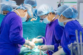 Các bác sỹ Bệnh viện Quân y 103 thực hiện một ca ghép tạng. (Ảnh: PV/Vietnam+)