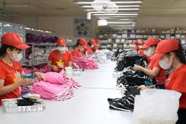 Công nhân lao động sản xuất tại một doanh nghiệp. (Ảnh: TTXVN)