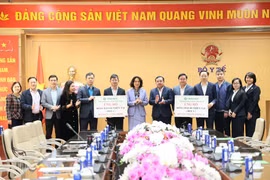 Bộ Y tế tiếp nhận 10 tấn Vi-Chlorine và 10 tấn Chloramin B. (Ảnh: PV/Vietnam+)