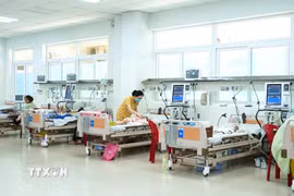 (Ảnh minh họa: TTXVN/Vietnam+)