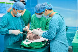Các bác sỹ Bệnh viện Phổi Trung ương chuẩn bị thực hiện một ca ghép phổi. (Ảnh: PV/Vietnam+)