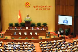 Phiên khai mạc Kỳ họp thứ hai, Quốc hội khóa XVI. (Ảnh: An Đăng/TTXVN)