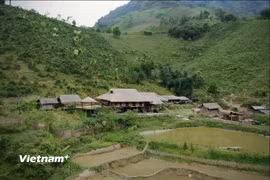Nếp nhà sàn truyền thống giữa núi rừng. (Ảnh: Trịnh Huyền/Vietnam+)