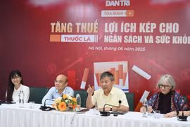 Các chuyên gia chia sẻ tại buổi Tọa đàm. (Ảnh: PV/Vietnam+)