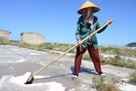 (Ảnh minh họa: Mai Hoa/TTXVN)