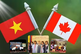 Quan hệ hợp tác về y tế giữa Việt Nam-Canada ngày càng đi vào chiều sâu 