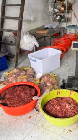 Kinh hãi hàng tấn lô thịt bò giả, bò bệnh tại Thành phố Hồ Chí Minh 