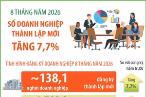 8 tháng của năm 2026: Số doanh nghiệp thành lập mới tăng 7,7%