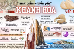 Khánh Hòa - miền đất được mệnh danh là “rừng trầm - biển yến”