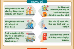 Hướng dẫn cách bảo đảm an toàn về tài sản và tính mạng trong và sau lũ