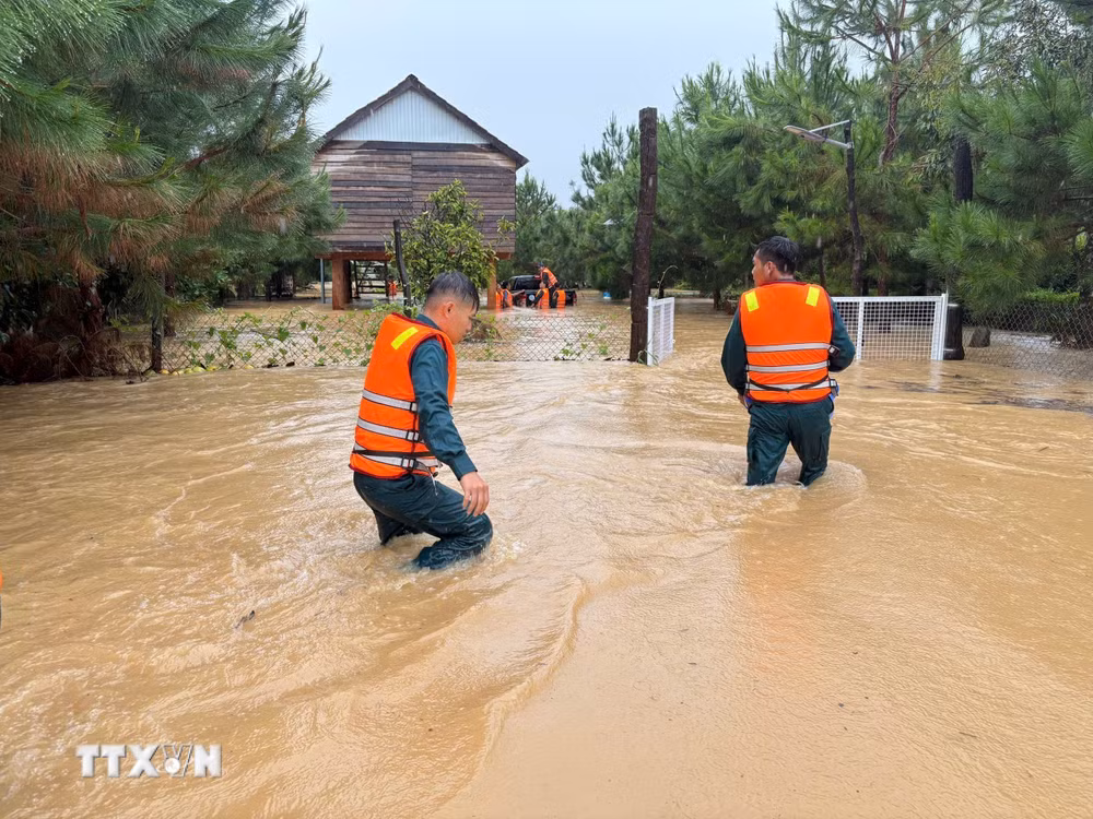 ttxvn-baoloc2.jpg