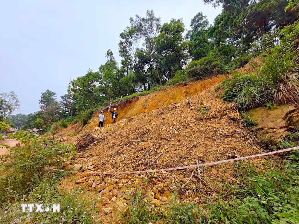 ttxvn-dentrinh.jpg