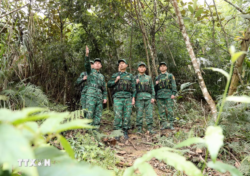 ttxvn-tuantra.jpg