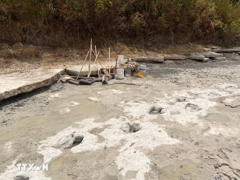 ttxvn-khunglong.jpg