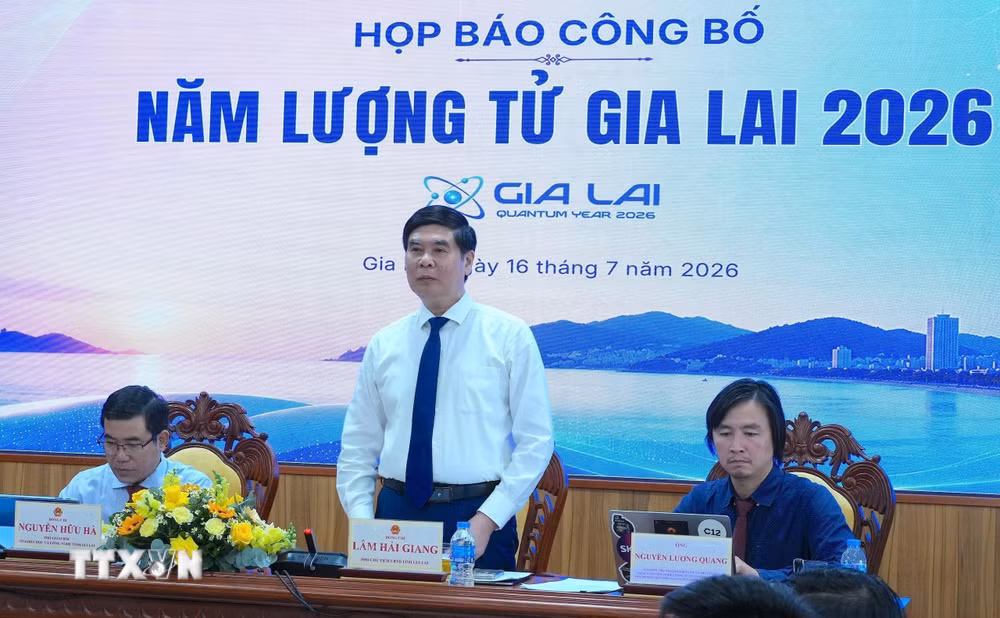 ttxvn-gialai2.jpg