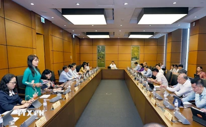 Đoàn đại biểu Quốc hội các tỉnh An Giang và Quảng Trị thảo luận ở tổ. (Ảnh: Doãn Tấn/TTXVN)