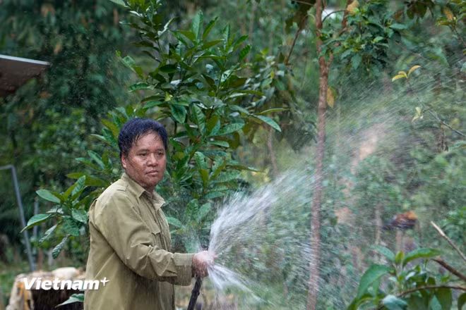 vnp-2026-04-09-nghidinh-338-15-9980.jpg
