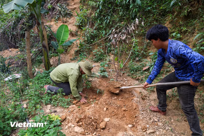 vnp-2026-04-09-nghidinh-338-01.jpg