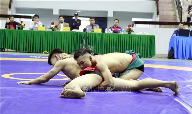 Ảnh minh họa. (Nguồn: TTXVN)