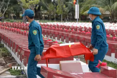 Hơn 87% tổng số phần mộ được khai quật tại Nghĩa trang liệt sỹ Bình Thuận có mẫu sinh phẩm. (Ảnh: Hồng Hiếu/TTXVN)