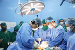 Các êkíp y bác sỹ tập trung cao độ thực hiện ca phẫu thuật lấy đa tạng từ người hiến chết não trong đêm 25/7 tại Bệnh viện Bãi Cháy, Quảng Ninh. (Ảnh: TTXVN phát)