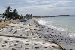 Xây dựng kè biển chống xâm thực tại xã Ô Loan, tỉnh Đắk Lắk. (Ảnh: Tường Quân/TTXVN)