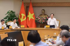 Phó Thủ tướng Lê Tiến Châu chủ trì họp về Chiến lược phát triển giáo dục đại học. (Ảnh: Lâm Khánh/TTXVN)