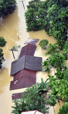 Mưa bão tàn phá Đông Nam Á và Nam Á, hơn 1.140 người thiệt mạng