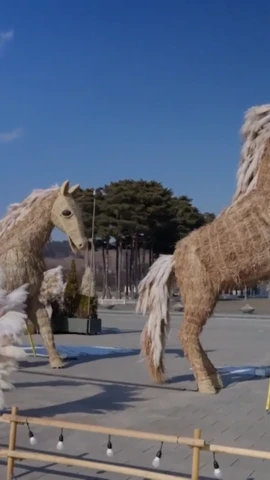 Ngỡ ngàng “đàn ngựa cỏ bạc” chào Tết Bính Ngọ 2026 tại Hàn Quốc 