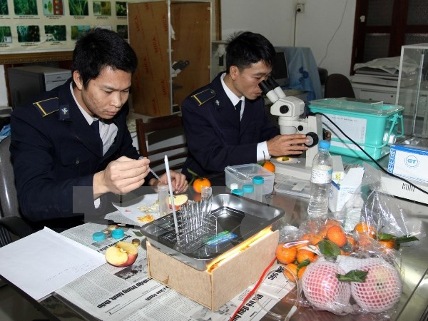 [Video] Tạm dừng cấp phép nhập khẩu trái cây tươi từ Australia ảnh 1