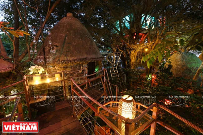 Khu nghỉ dưỡng Cosy Tree House về đêm. (Ảnh: Tất Sơn/Báo Ảnh Việt Nam) Trải nghiệm khu nghỉ dưỡng nhà trên cây "độc nhất vô nhị" ở Hà Nội ảnh 10