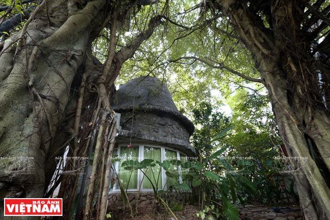 Đến với Cosy Tree House du khách như lạc vào một khu rừng xanh kỳ bí. (Ảnh: Tất Sơn/Báo Ảnh Việt Nam) Trải nghiệm khu nghỉ dưỡng nhà trên cây "độc nhất vô nhị" ở Hà Nội ảnh 3