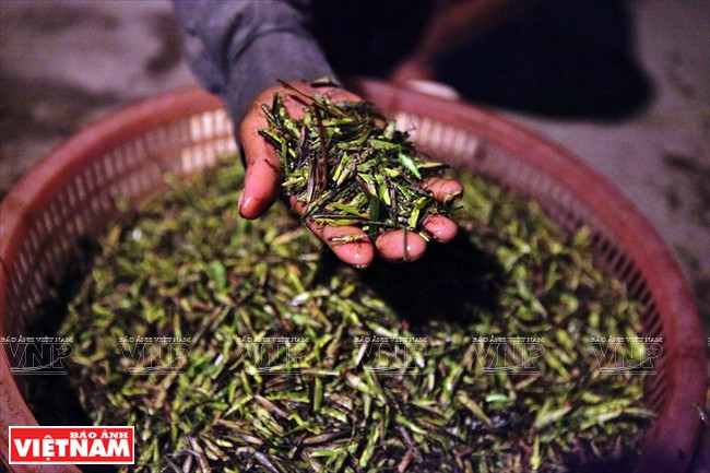 Ngay sau khi kết thúc buổi “quay” châu chấu, những người thợ săn chuyển ngay “chiến lợi phẩm” về bán cho thương lái với giá từ 60 đến 80 ngàn đồng mỗi kg. (Ảnh: Công Đạt/Báo Ảnh Việt Nam) Cả làng đổ xô đi làm giàu nhờ nghề "săn" châu chấu kỳ lạ ảnh 12