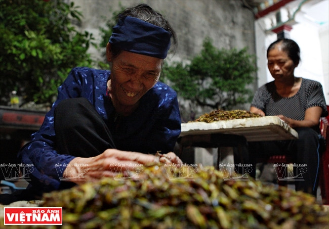 Trong nhà ông Nguyễn Văn Cáu, một thương lái thu mua và phân phối châu chấu lớn nhất xã Lê Thanh có hàng chục lao động cấu châu chấu thuê mỗi đêm. (Ảnh: Công Đạt/Báo Ảnh Việt Nam) Cả làng đổ xô đi làm giàu nhờ nghề "săn" châu chấu kỳ lạ ảnh 14