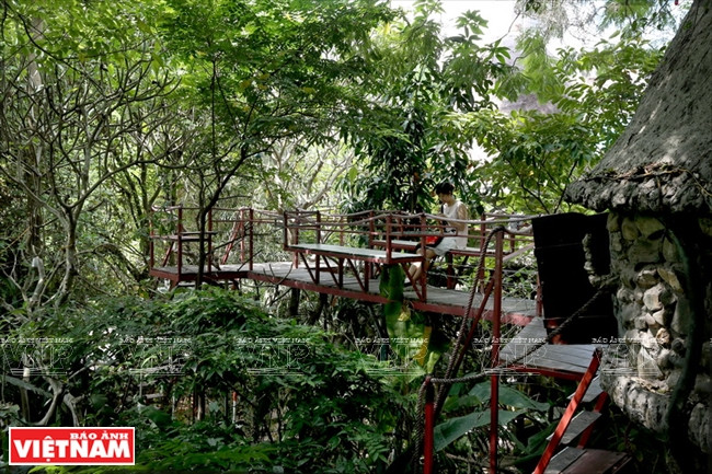 Hệ thống đường đi bằng gỗ kết nối những ngôi nhà trên cây cũng là một điểm ngắm nhìn thiên nhiên độc đáo dành cho du khách. (Ảnh: Tất Sơn/Báo Ảnh Việt Nam) Trải nghiệm khu nghỉ dưỡng nhà trên cây "độc nhất vô nhị" ở Hà Nội ảnh 7