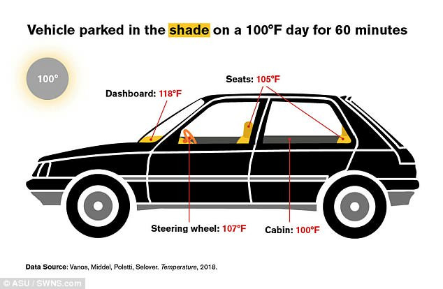 Xe hơi để ngoài trời nắng nóng có thể gây chết người trong vòng 1 giờ ảnh 2