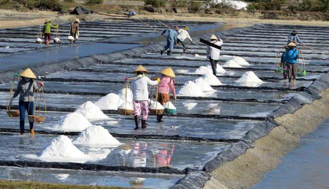 Khánh Hòa: Vựa muối Ninh Hòa còn trên 10.000 tấn chưa tiêu thụ ảnh 1