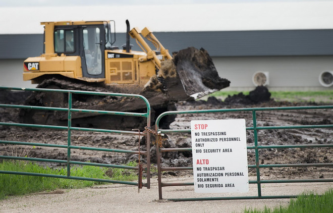 Cúm gia cầm "móc túi" khoảng 8 tỷ USD của người tiêu dùng Mỹ ảnh 1