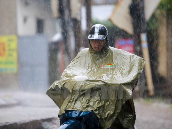 Các khu vực trên cả nước đều có mưa, một số nơi mưa to đến rất to ảnh 1